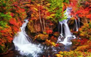 Waterfalls Colorful Foliage Rocks Autumn Trees Lovely Beautiful