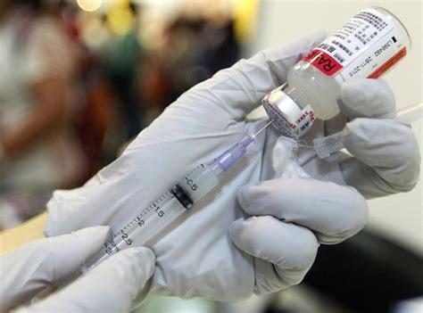 Cat vaccinations, especially for indoor cats, are often overlooked. Rabies In Cats - Cat and Dog Lovers