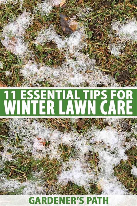 Winter Lawn Care Essential Tips For Maintaining Your Lawn