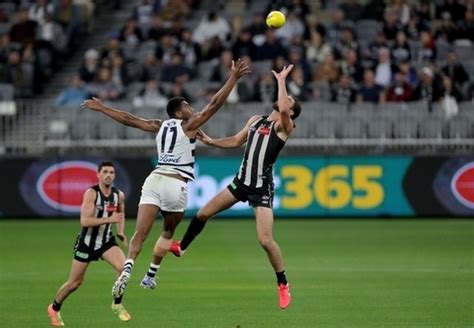 Everything afl finals/grand final 2021 ! AFL Finals Week 2 Tips | Best Bets and Predictions ...