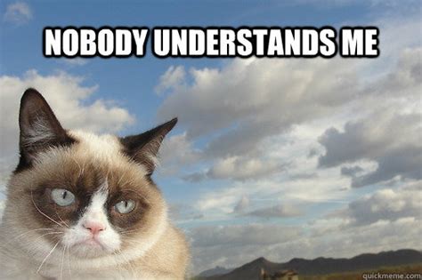 Sad Grumpy Cat Quickmeme Grumpy Cat Tardar Sauce