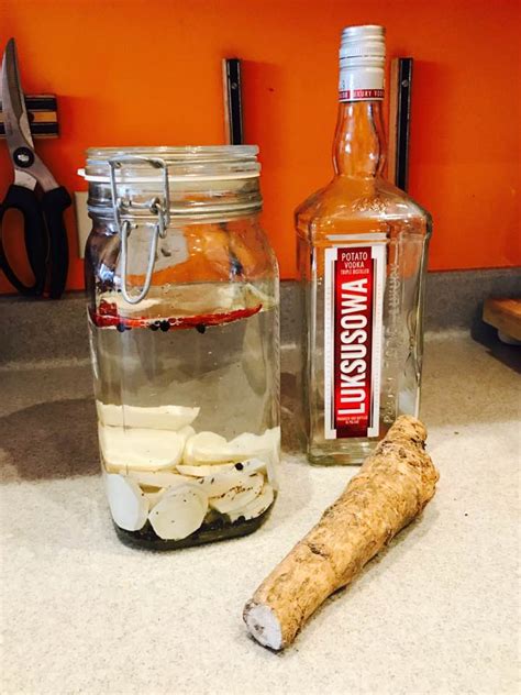 Horseradish Infused Vodka Passover Jewish Philosophy Place
