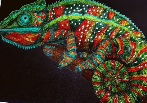 10 Best Tim Jeffs Images On Pinterest Lizards Art