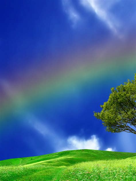Free Download Rainbow In A Blue Sky 23859 Wallpaper Wallpaper Hd