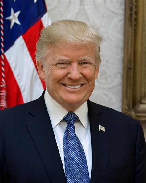 Trumps Official Portrait Resembles A Smiley Emoji The New York Times