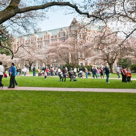 The 25 Most Beautiful College Campuses In America University Of