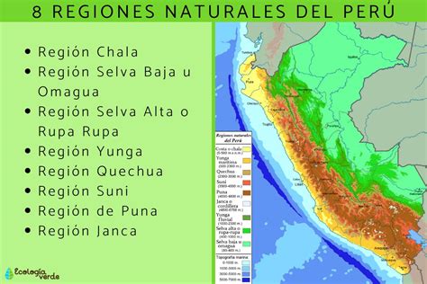 Regiones Naturales Para NiÃ±os Tola