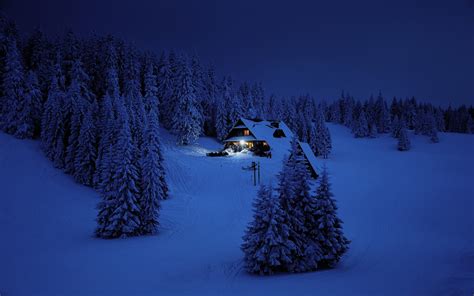Download 1680x1050 Wallpaper House Night Winter Trees Snow Layer