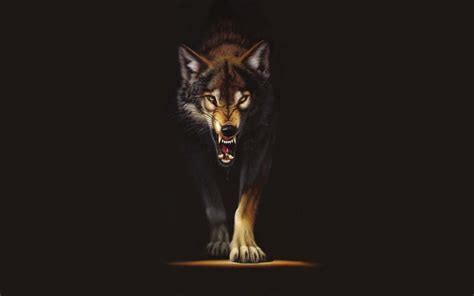 Wolf Wallpaper Cool Red Steam Community Red Wolf We Hope You