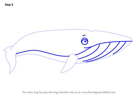 Submit your clip, if chosen, get paid! Learn How to Draw a Cartoon Blue Whale (Cartoon Animals ...