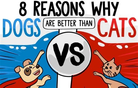 8 Reasons Why Dogs Are Better Than Cats Displayed By An Awesome Infographic
