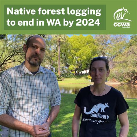 Conservation Groups Declare ‘breakthrough On Native Forest Logging As