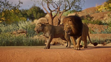 Lion Remaster Update 17 At Planet Zoo Nexus Mods And Community
