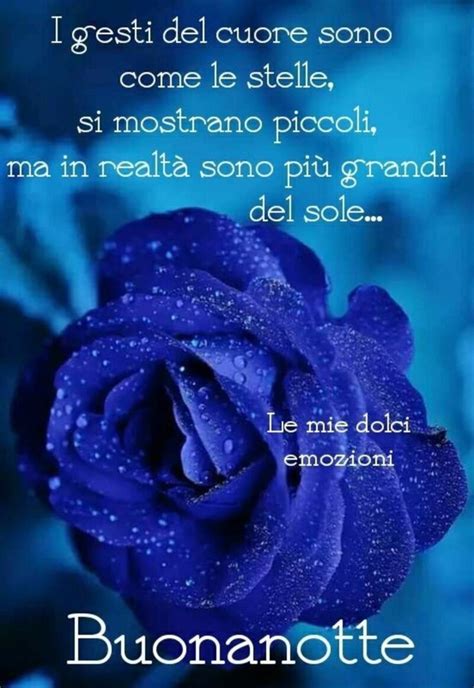 Chords for una rosa blu. Buonanotte con i fiori 10 foto con frasi belle - Bgiorno.it