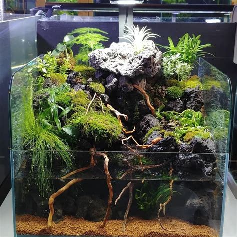 Plaster of paris and water mixture is used for making rocks , first i made the aluminium foil mold for the rock for the waterfall i used pva glue ,apply very thin layer on transparent sheet.after dry the glue color the waterfall with white acrylic color, it looks real. aqua terrarium by aquatiffany #테라리움#아쿠아티파니 | Rừng