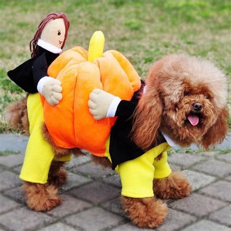 Pumpkin Carrying Dog Costume Costumes Dog And Pet Costumes