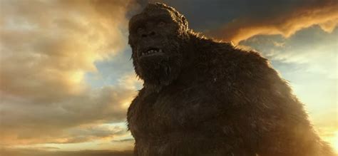 Em godzilla vs kong, duas poderosas forças da natureza vão se enfrentar em uma grande batalha. Trailer de Godzilla Vs Kong | Blog Cineplus Emacite