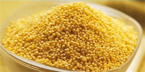 Di seguito è una ricetta per questo piatto. Come cucinare correttamente il porridge di miglio