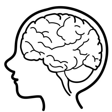 Brain Drawing Clipart Best