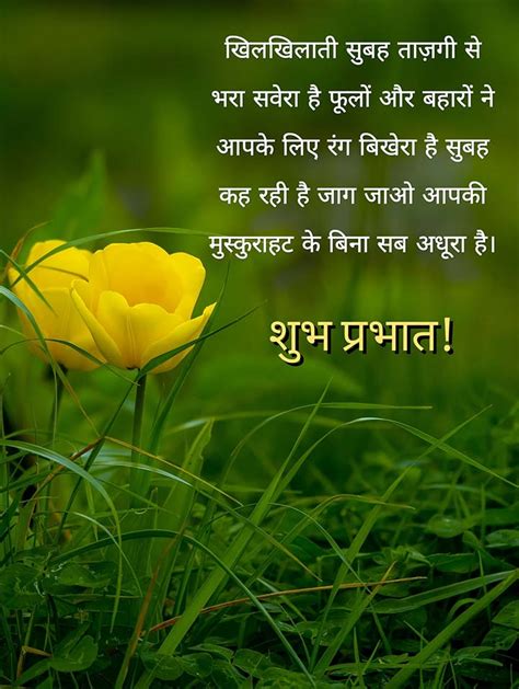 150 Good Morning Message In Hindi सुप्रभात संदेश Images