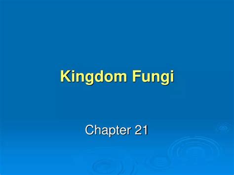 Ppt Kingdom Fungi Powerpoint Presentation Free Download Id1153568