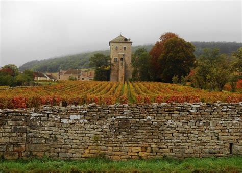 Chateau Gevrey Chambertin Wine Vineyards France Winery
