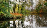 Stefan George: Komm in den totgesagten park und schau - Poesi