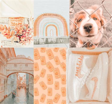 Light Orange Peachy Vibes Aesthetic Wall Collage Kit Digital Etsy Artofit