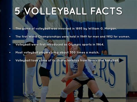 Image Result For Volleyball Trivia Volleyball Facts Volleyball Trivia