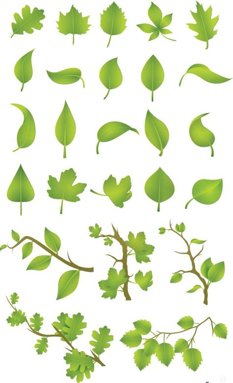 Green Leaves Vector Set Free Download