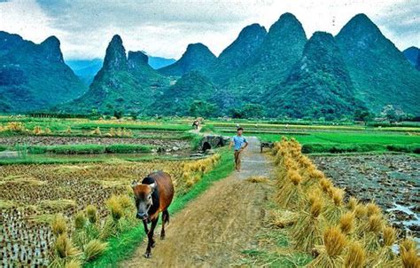 China At The End Of Last Century Guilin Guangxi Province In Southern