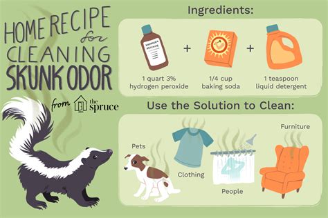 A skunk's spray, which the animal uses to defend against predators and danger, can be spread accurately as far as 15 feet away. Get Rid of Skunk Odor: What Really Works
