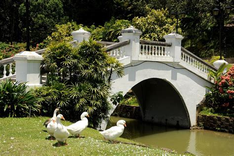 Kuala lumpur is a city where many different cultures meet. Interesting Places In Malaysia: Perdana Botanical Gardens ...