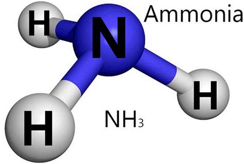 Ammonia Anhydrous Ammonia Uses Levels Test And Ammonia Health Effects