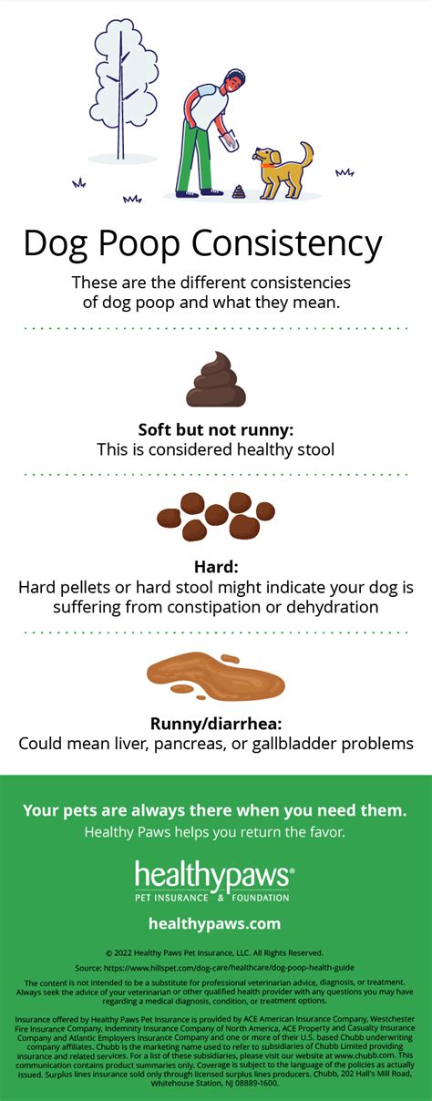What Does A Healthy Dog Poop Look Like