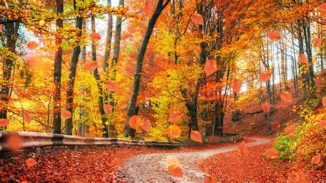 The Best Places Across The Us To See Fall Foliage This Autumn Koa
