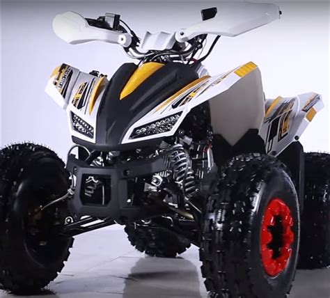 Tao Tao Rex 125cc Atv Automatic With Reverse Upgraded Bumper Led