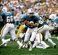 1967 - 1970 Bob Griese - Miami Dolphins Nfl Photos, Football Photos ...