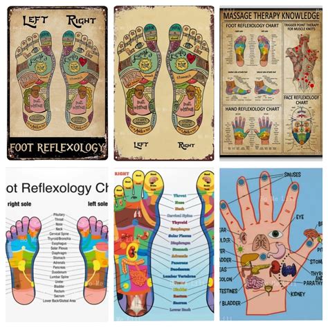 Reflexology Chart Massage Therapy Knowledge Poster Foot Trigger Point Wall Art Therapist Decor