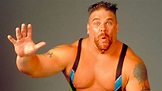 Bill DeMott - No Laughing Matter: His Controversial Story