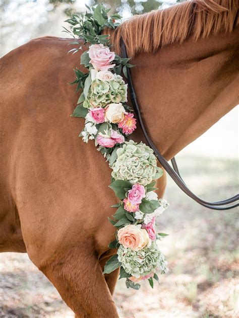 Beautiful Wedding Floral Garland On A Horse By A To Zinnias Image By