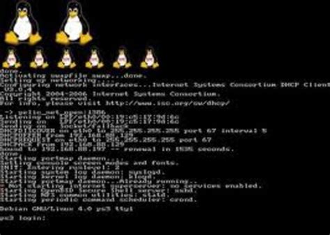 Codigo Linux Timeline Timetoast Timelines