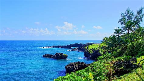 Hd Wallpaper Tropical Water Tropical Forest Hawaii Isle Of Maui Maui