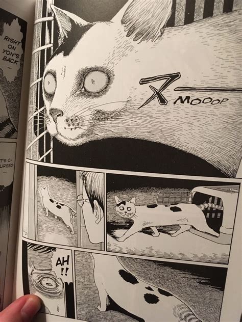 Junji Ito S Insanity Today Arrived Junji Ito’s Cat Diary To Complete My