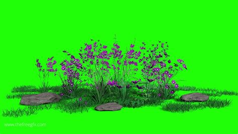 Garden Flowers In Wind Blue Screen And Green Screen Video Youtube