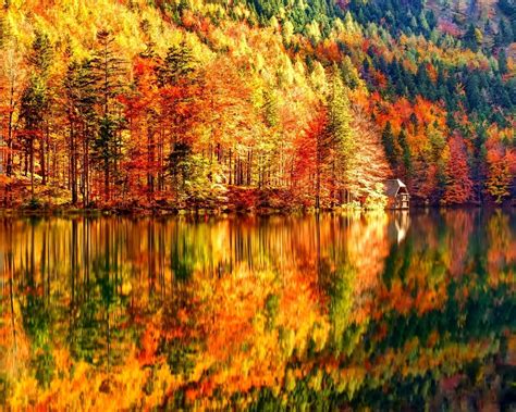 Autumn Landscape 1280 X 1024 Wallpaper