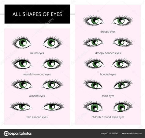 Resultado De Imagen Para Tipos De Ojos Types Of Eyes Different Types
