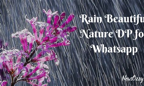 Rain Beautiful Nature Dp For Whatsapp Cute Rain Wallpapers Free Images