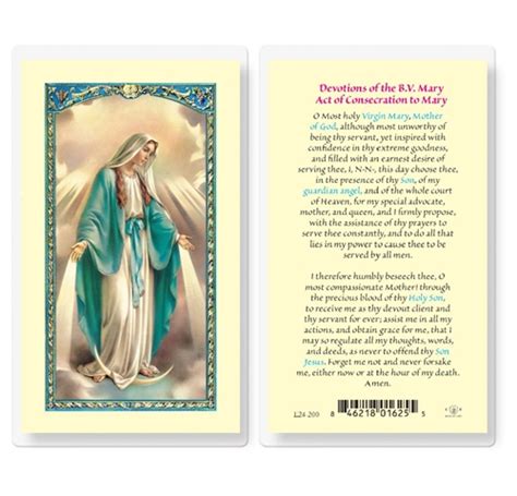 Devotions Of The Blessed Virgin Mary Laminated Prayer Card Discount