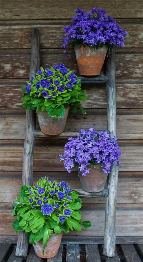 Each hanger can bear up to 30 pounds, so they're great for larger pots as well. 15+ Fascinating Garden Planter Ideas